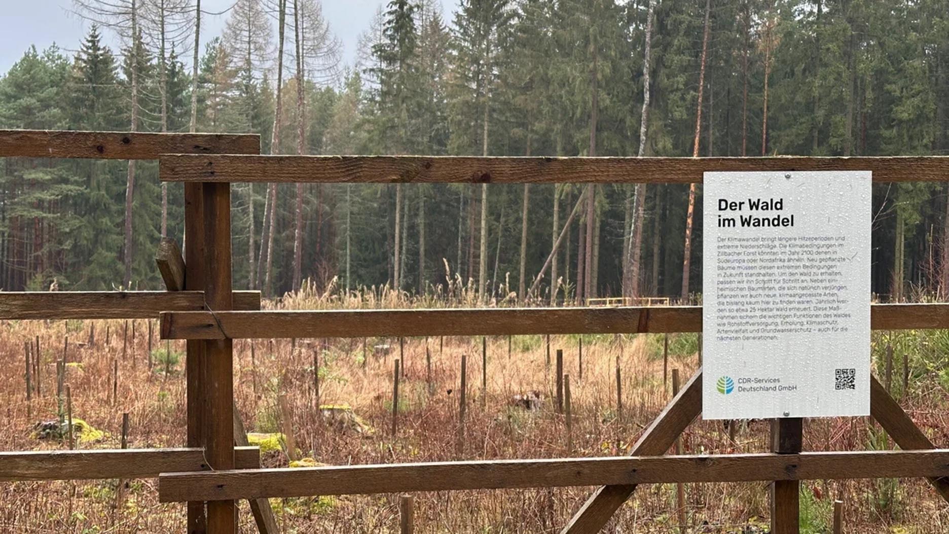 Wahrnehmungen und Perspektiven