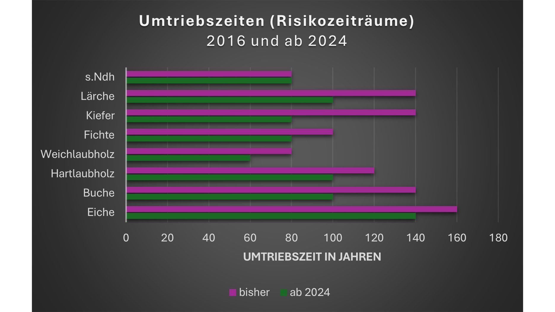 Blog 2024 08 30 Bild 09 1872 1053