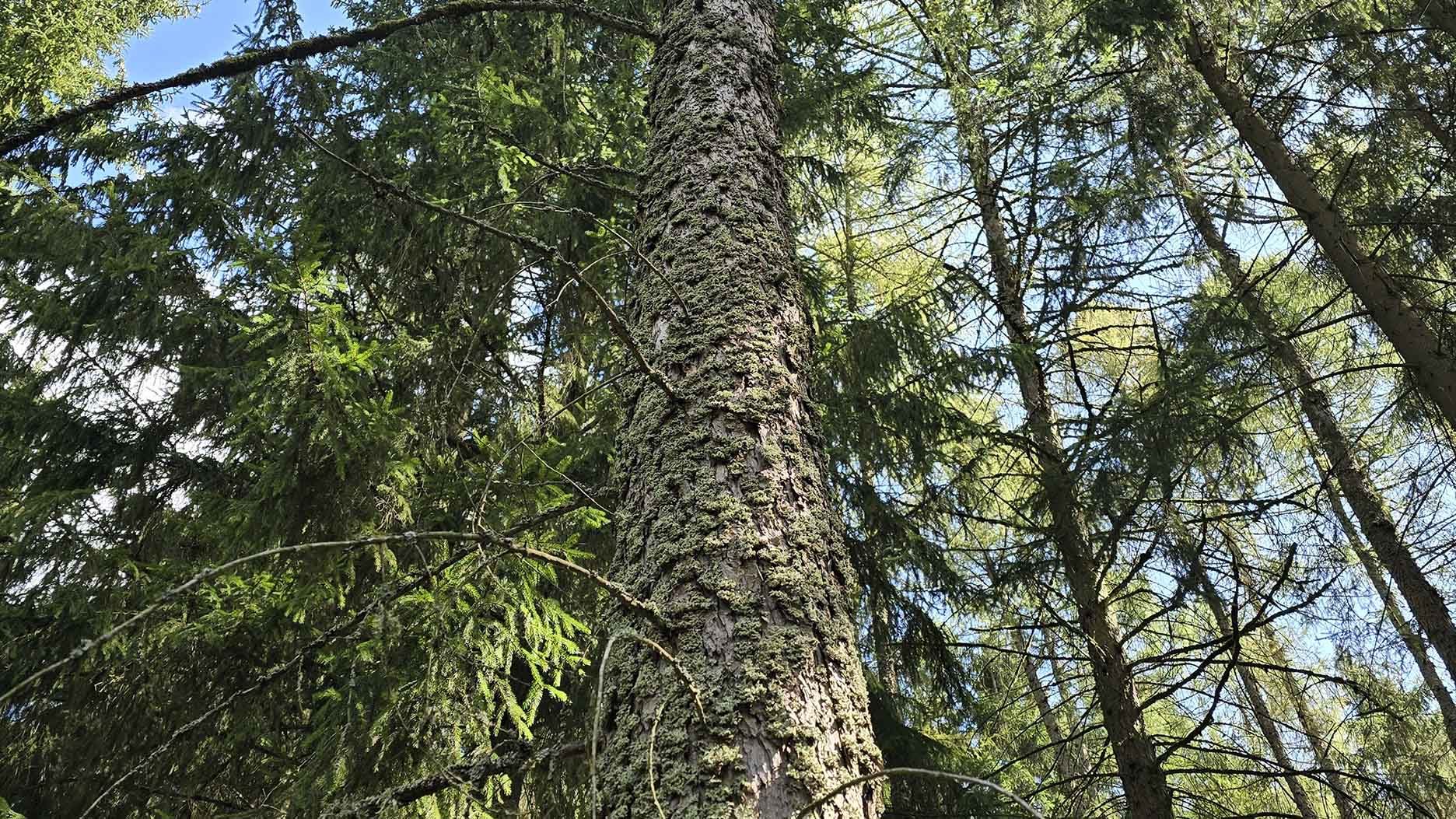 Blog 2024 08 30 Bild 10 1872 1053