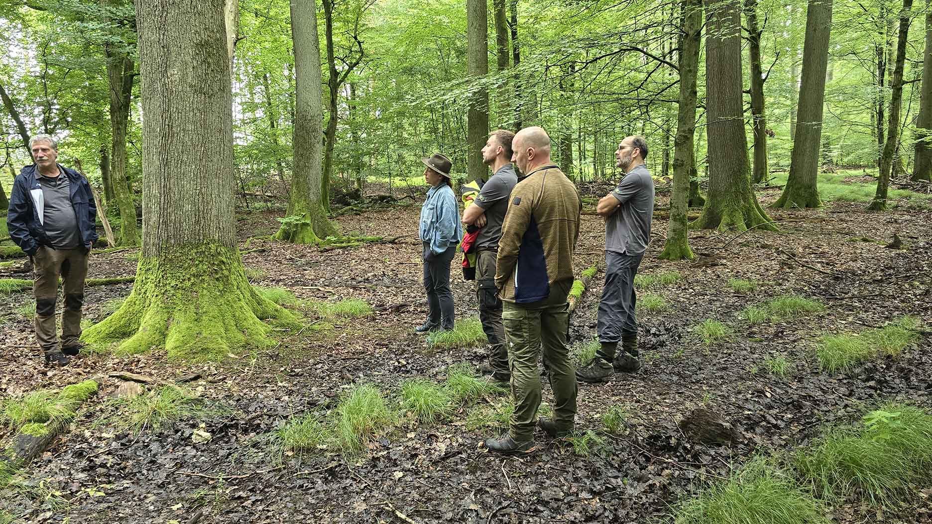 Blog 2024 08 30 Bild 11 1872 1053