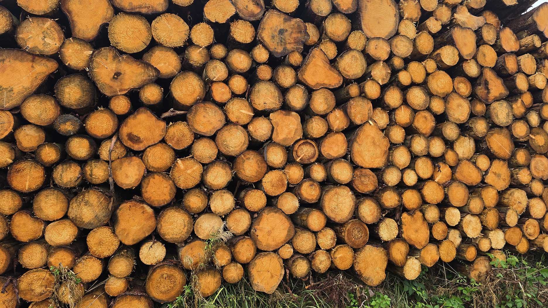 Blog 2024 10 27 Bild 01 1872 1053