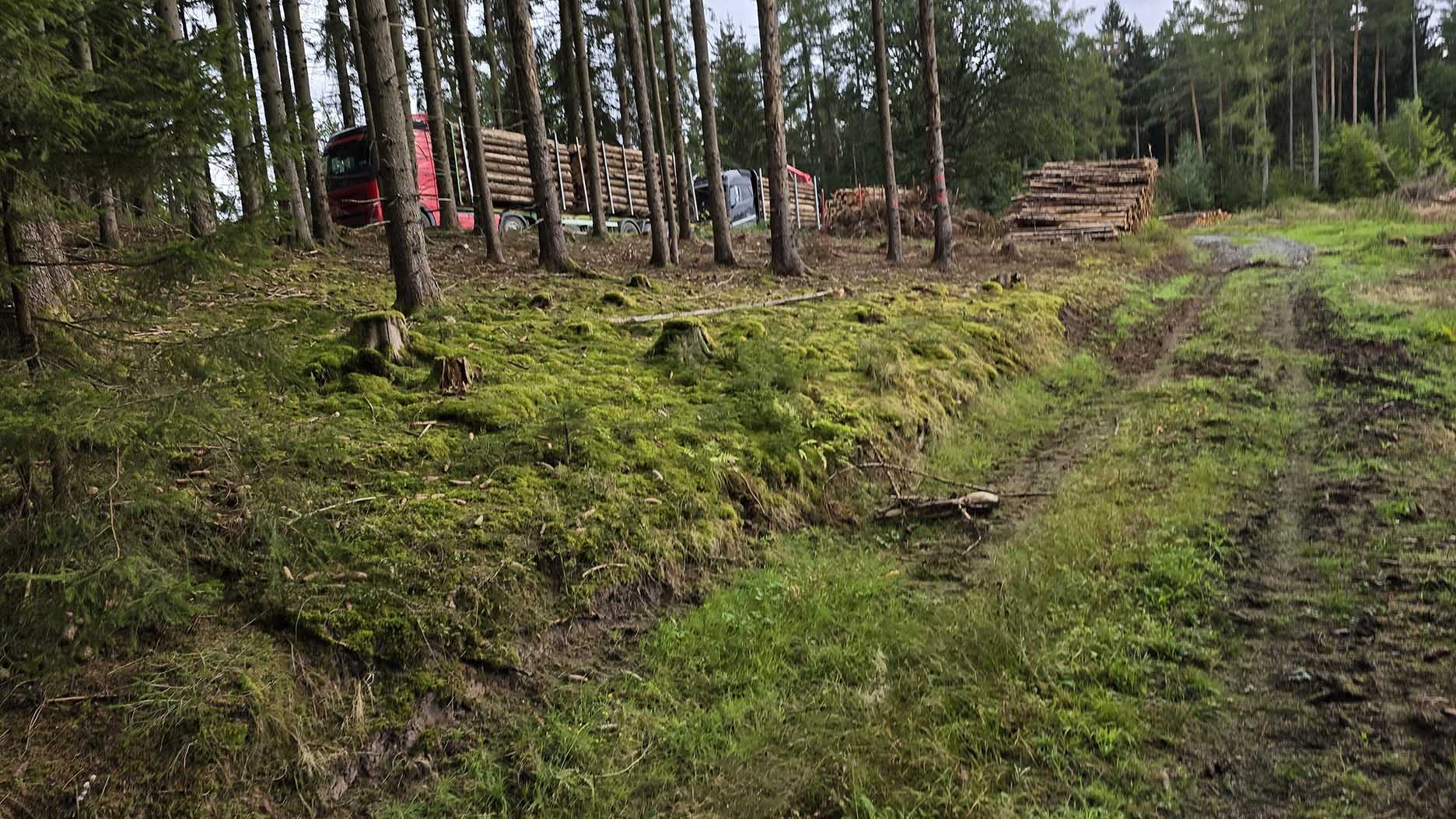 Holzabfuhr kann kompliziert und verzögert werden. Vor allem, wenn auch Strassen Dritter mitbenutzt werden müssen, weil keine andere Erschliessung zum Wald führt. (Möckers)