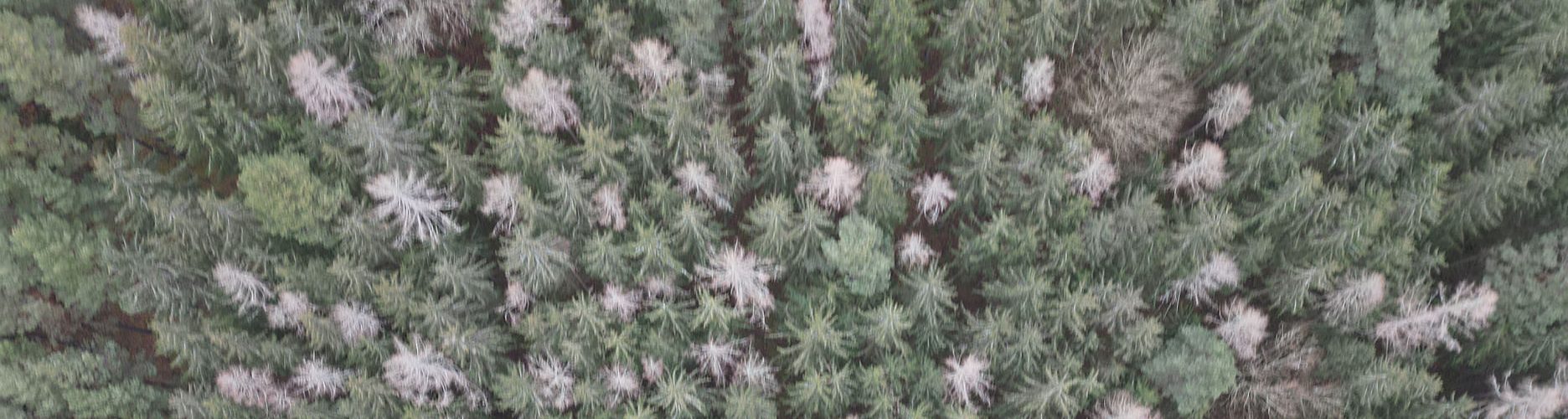 Blog 2025 01 26 Bild 01 1872 1053