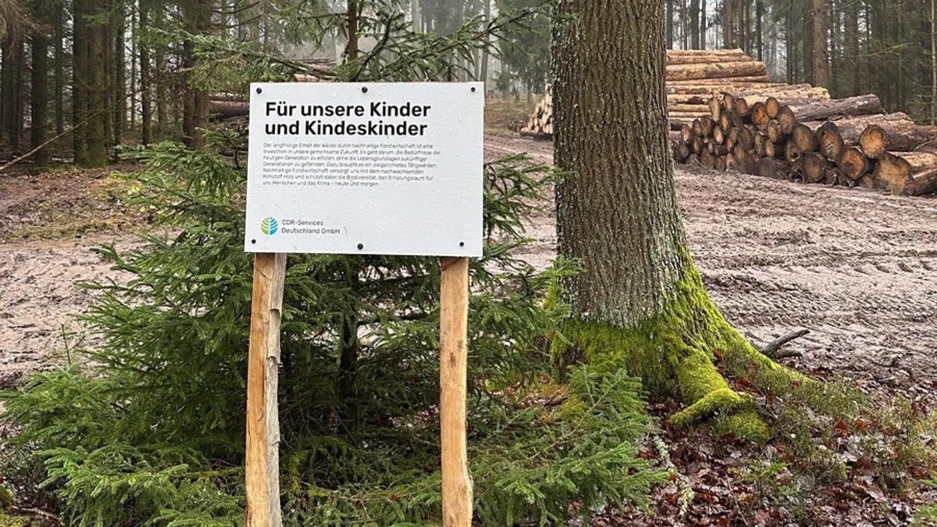 Blog 2025 01 26 Bild 02 1872 1053