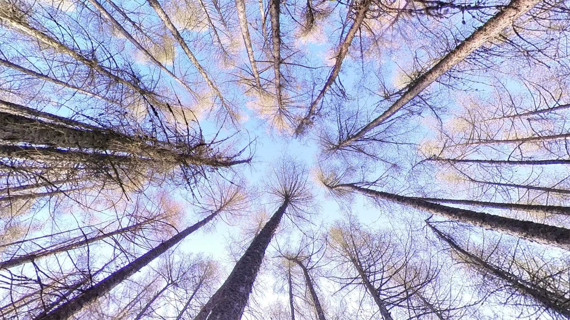 Blog 2025 05 05 Bild 01 1872 1053